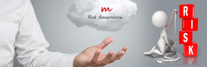 Risk-Governance